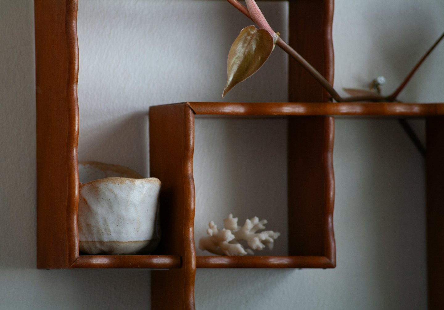 Drewniana półka z ceramicznym kubkiem, koralem i zwisającą rośliną.